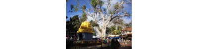 நாகர்கோவில்